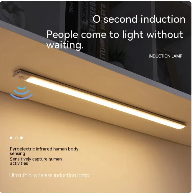 Induction lamp with text highlighting its features and benefits